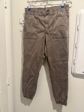 American Eagle Taupe Jogger Pants